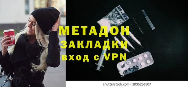 сатива Болотное