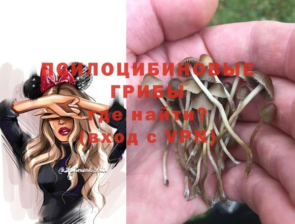 а пвп мука Абдулино