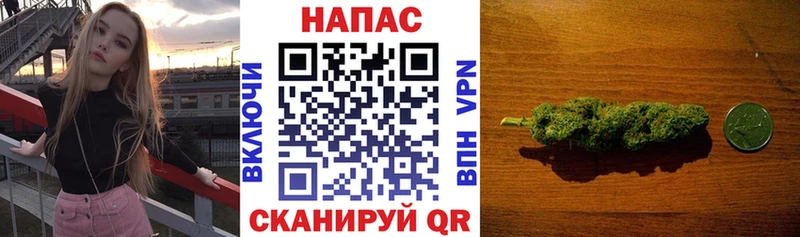Бошки марихуана марихуана  darknet состав  Балахна 